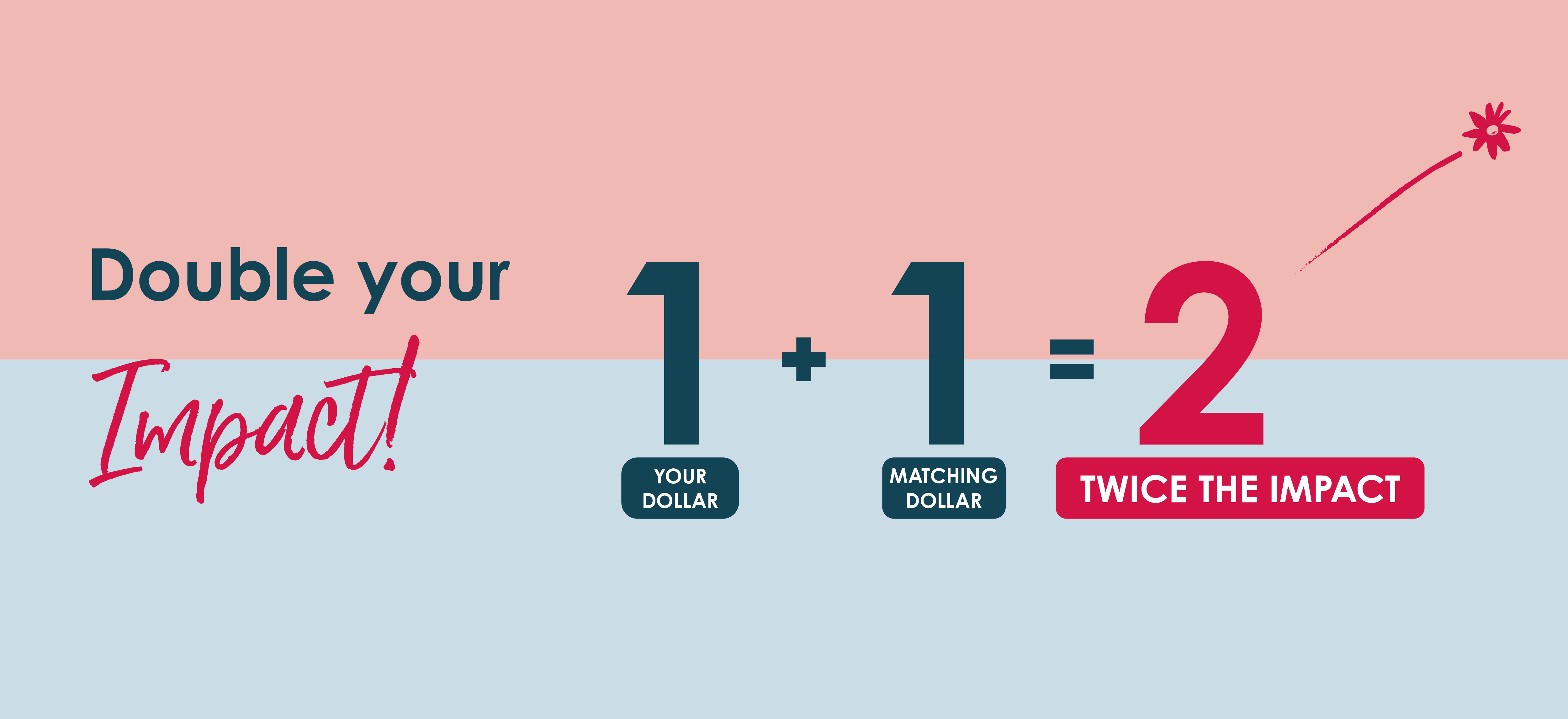 Double your impact! Our generous supporters will match every dollar you donate in the first 48hrs