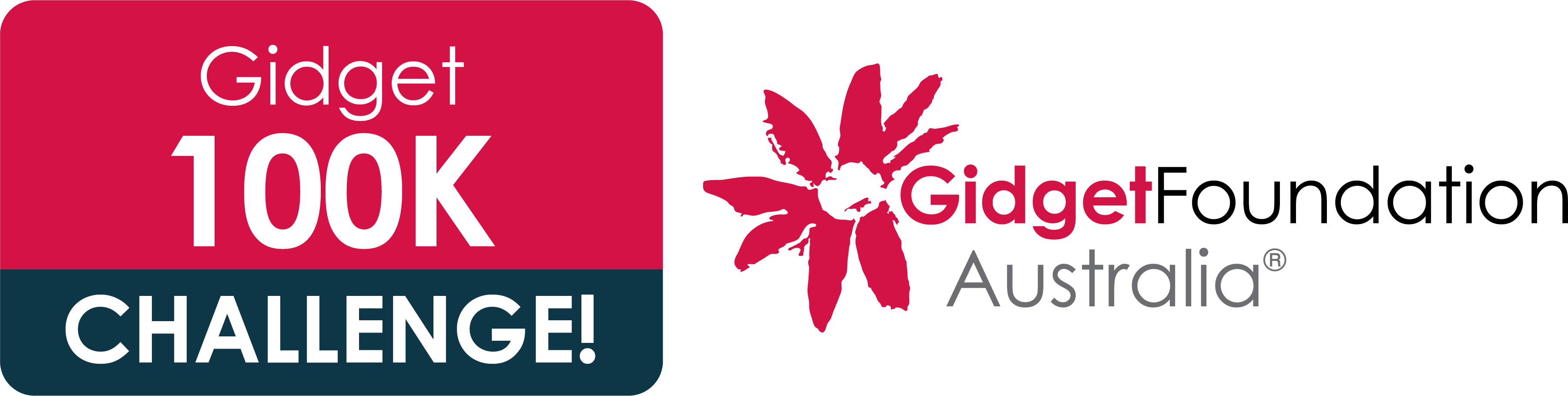 Gidget Foundation Australia